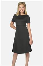 black knee dress-skirt